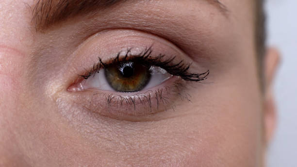 Discover the Truth: Does Waterproof Mascara Cause Eyelash Loss?